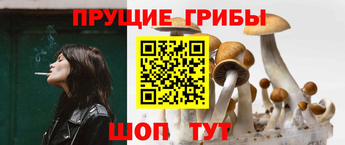 Галлюциногенные грибы Cubensis  Вход с VPN  Галлюциногенные грибы мухоморы  Кызыл 
