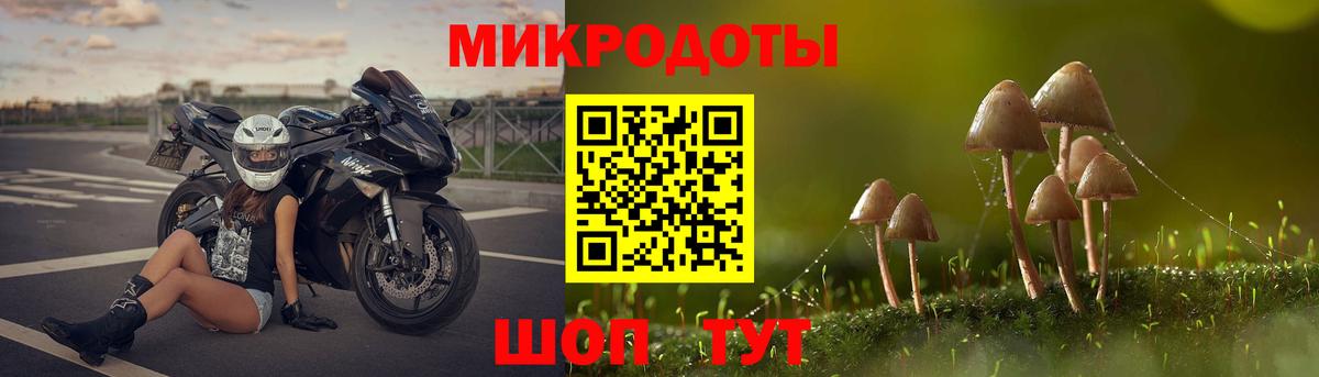 Галлюциногенные грибы Psilocybe Кызыл